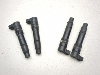 10-22 Kawasaki ZG1400C Concours Ignition Coil Plugs Packs