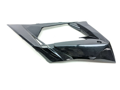 10 Kawasaki Ninja ZX10R ZX1000 Cover Panel Fairing