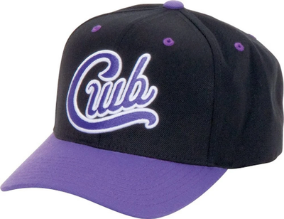 CWB Board Co. Script Snapback Hat Black and Purple O/S 67143035