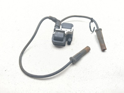 04-12 Victory Kingpin Ignition Coil Plugs Packs 1203435