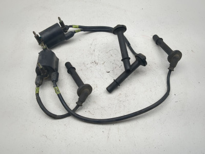 97-03 Honda CBR1100XX Blackbird CBR 1100 Ignition Coil Plugs Packs Set