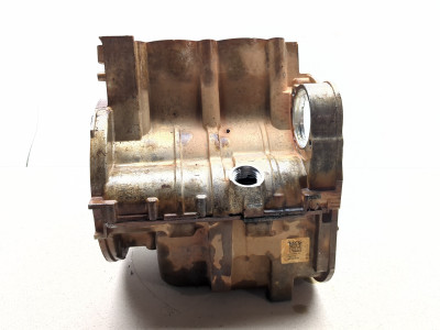 15-25 Polaris Scrambler 850 Engine Motor Case Block