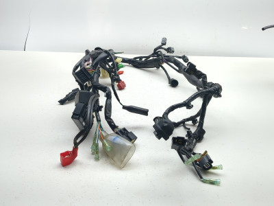 19-21 Honda Z125 MA Monkey Main Wiring Wire Harness