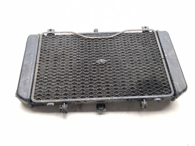 04-06 Kawasaki Z750 Engine Motor Radiator 4220006840