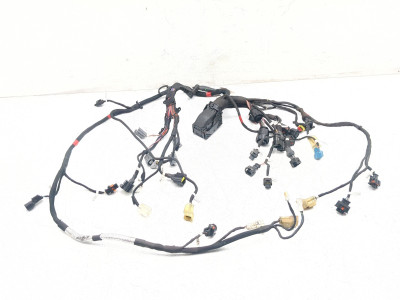 18-24 Ducati Panigale V4S Engine Wiring Harness Front 5101G101B Motor Complete