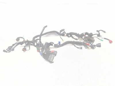 18-23 Husqvarna Svartpilen 401 Main Wiring Harness Wire Loom Electrical