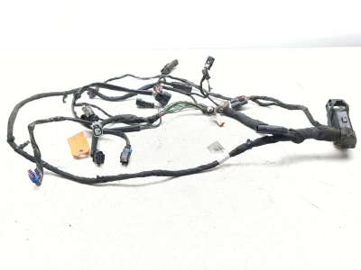 22-25 Harley FXLRST Low Rider ST Engine Wiring Harness Wire Loom Main Motor