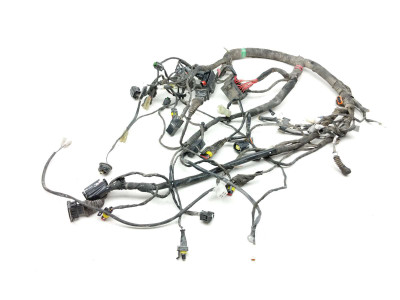 16 Ducati Scrambler Main Wiring Wire Harness Loom