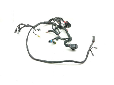 22 Harley Davidson Street Bob FXBBS Main Wire Wiring Harness Loom