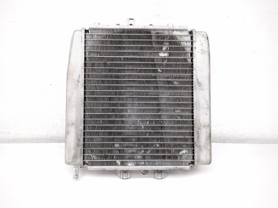 06-11 Piaggio MP3 250 Front Radiator Cooler