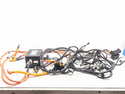 22-24 Kandi USA Cowboy E10K Harness & Control Box Main Wiring Harness Wire Loom