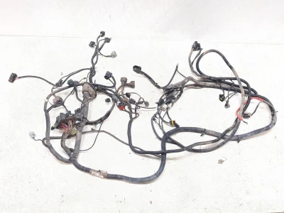 22 Segway Fugleman UT10 X Main Wiring Harness