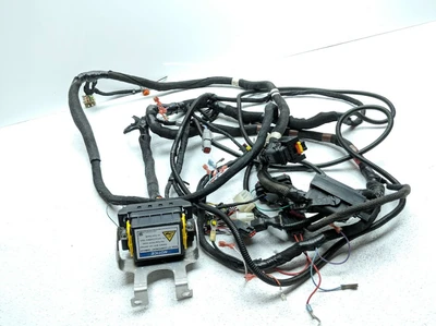 2009-2016 Club Car Precedent i2 Main AC-FLA CSMR Wiring Harness 47665123001