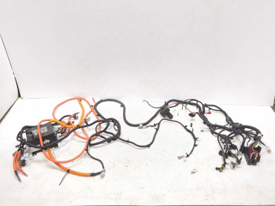 22-24 Kandi EV Cowboy E10K Main Wire Wiring Harness Loom & Voltage Control Box