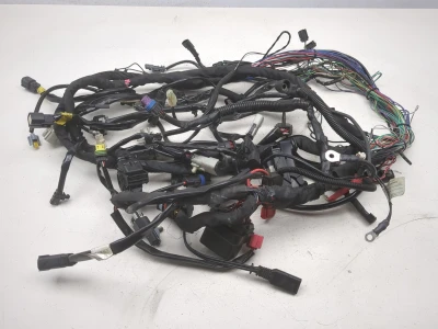17-23 Harley Street Glide FLHX Main Wiring Harness 69203182