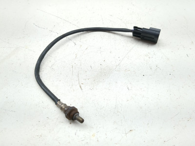 16-17 Victory Octane Oxygen Sensor 4016021
