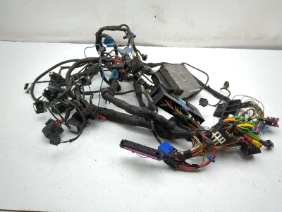 03-05 BMW K1200GT Main Wiring Harness