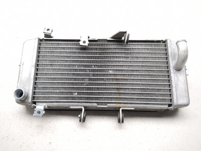 18-25 Suzuki GSX250R GSX 250 Engine Motor Radiator With Grille Guard DG190711