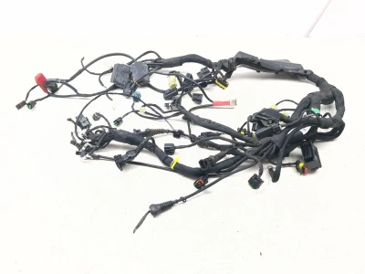 19-25 Ducati Hypermotard 950 Main Wiring Harness Wire Loom