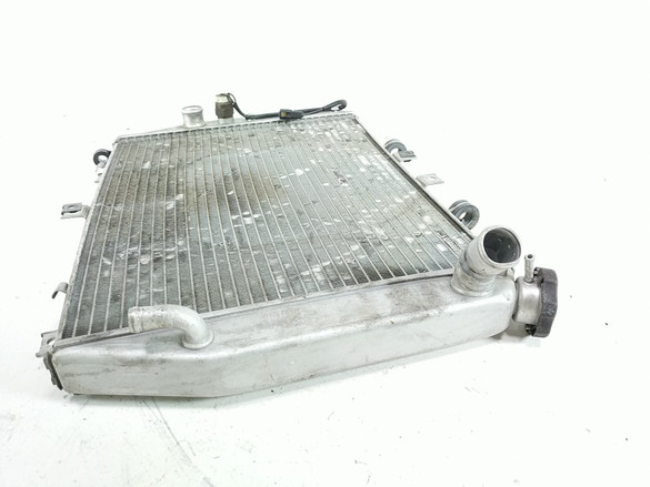 00-06 KAWASAKI ZX12-ZX12R Radiator - Sun Coast Cycle Sports | Used