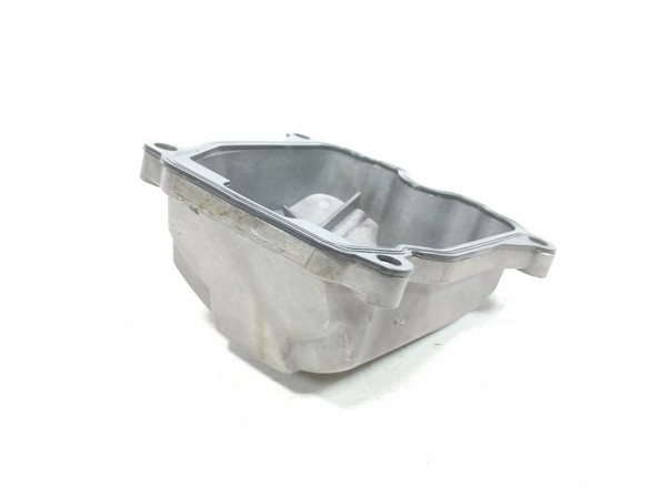 17 Odes 800R Dominator XT Engine Motor Cover 17 Odes 800R Dominator XT Engine Motor Cover