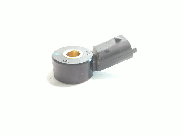 18 Vanderhall Venice Knock Sensor