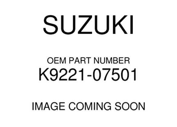 2003-2005 Suzuki RM65 Twin Peaks 700 12mm Castle Nut OEM K9221-07501