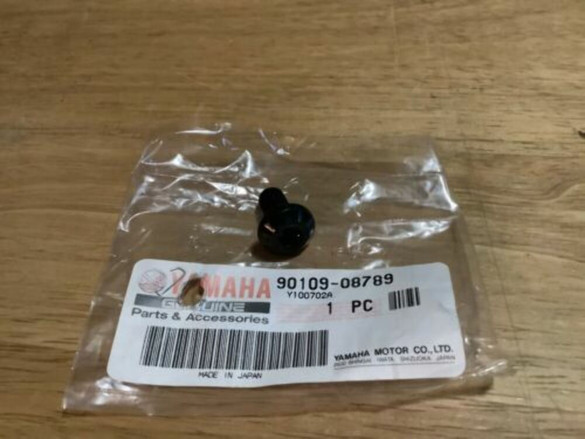 1984-2013 Yamaha OEM Brake Caliper Bolt 90109-08789 QTY 4 08789 QTY