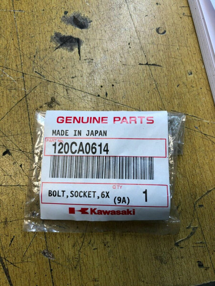 Kawasaki KLF300 ZG1000 Socket Bolt 6x14 120CA0614 QTY 2 Genuine OEM
