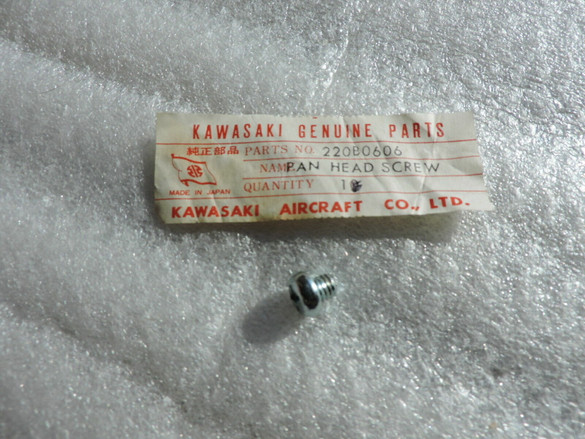 Kawasaki 220B0606 Pan Head Screw 6X06 C2 C2SS C2TR G3 G3SS G3TR OM12 OM11 QTY 2 Kawasaki 220B0606 Pan Head Screw 6X06 C2 C2SS C2TR G3 G3SS G3TR OM12 OM11 QTY 2