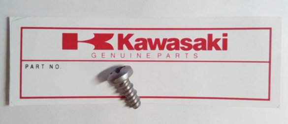 KAWASAKI OEM 92011-561 SCREW QTY 2 KAWASAKI OEM 92011-561 SCREW QTY 2