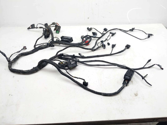 19 BMW S1000XR 1000 XR Main Wiring Wire Harness Loom