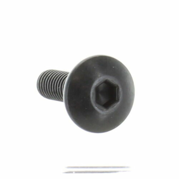 Ski-Doo New OEM Truss Socket Screw M6 X 20 250000770 Ski-Doo New OEM Truss Socket Screw M6 X 20 250000770