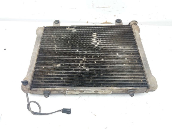 04 Polaris Ranger 500 Radiator