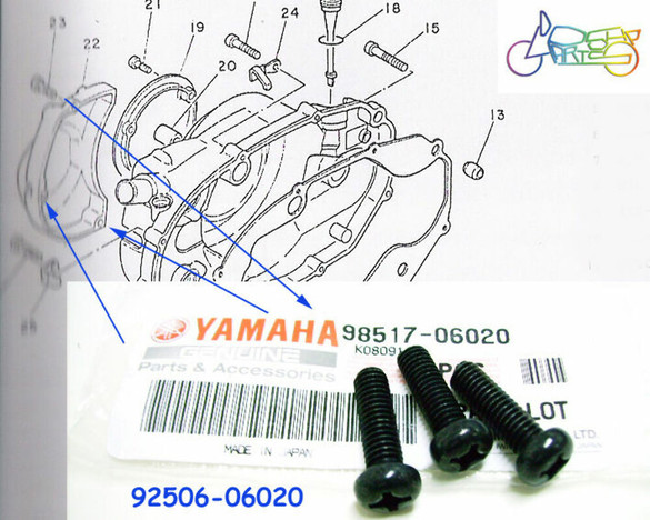 1985-2024 Yamaha VMX1200 YZF1000 FZS1000 OEM Screw 98517-06020 QTY-1 NOS