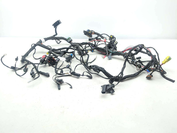 22 Harley Davidson RH1250 Sportster Main Wiring Wire Harness Loom