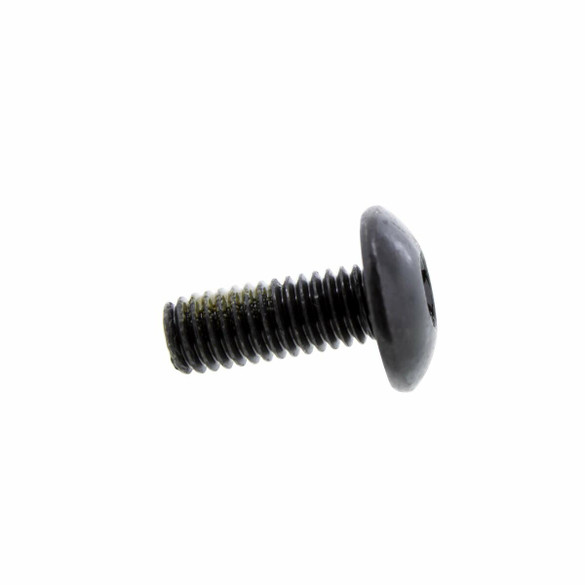 Can-Am New OEM Body Torx Screw, 250000721