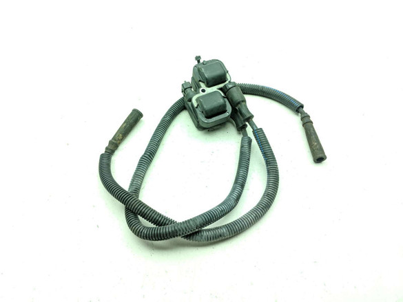 12 Can Am Spyder RT-S SE5 Ignition Coil Pack 0221503037