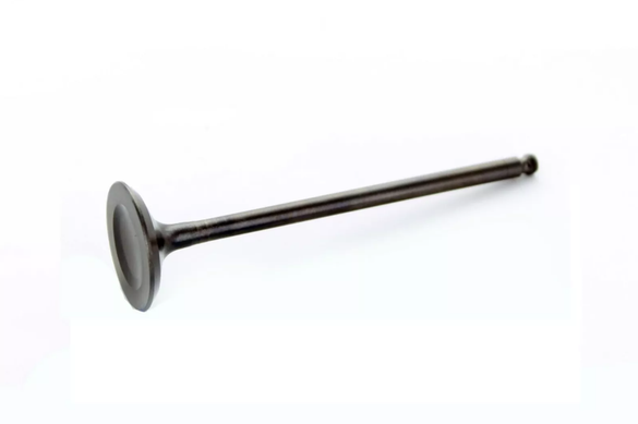 2001-2013 Yamaha YZ250F WR250F NEW OEM Intake Valve 5NL-12112-30 5NL-12112-10