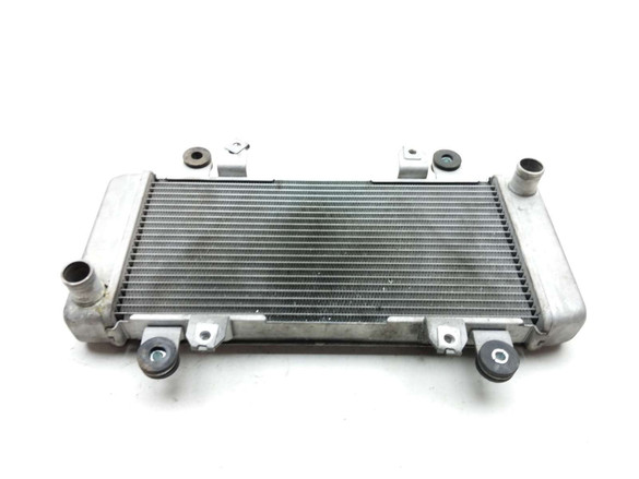 13 Kawasaki Ninja EX300 Engine Motor Radiator PPG30