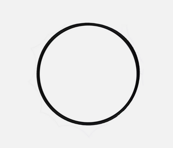 New OEM Polaris 0452353 O-RING RZR 200 170