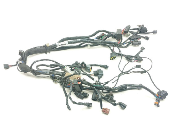 21-24 Triumph Trident 660 Main Wiring Wire Harness Loom