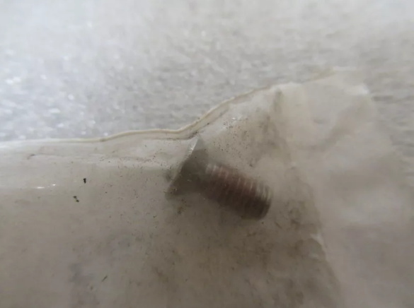 BRP Sea-Doo 1990-2024 PWC Sport Boat Phillips Screw OEM 250000319