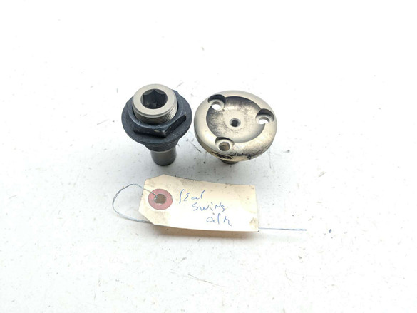 18-21 BMW K1600B Bagger Rear Swing Arm Pivot Bolts