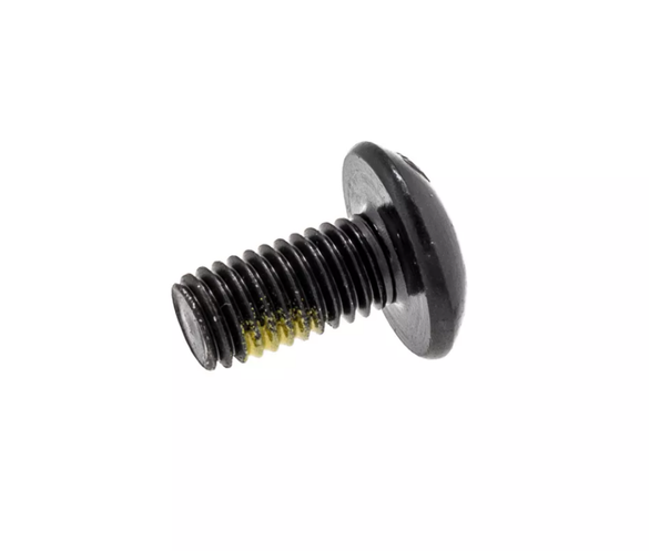 CAN-AM OEM TORX SCREW - 250000746 QTY2