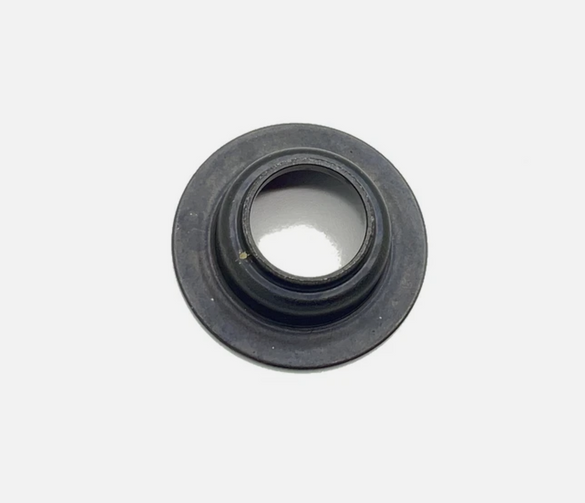 POLARIS NEW OEM VALVE SEAL 5910329