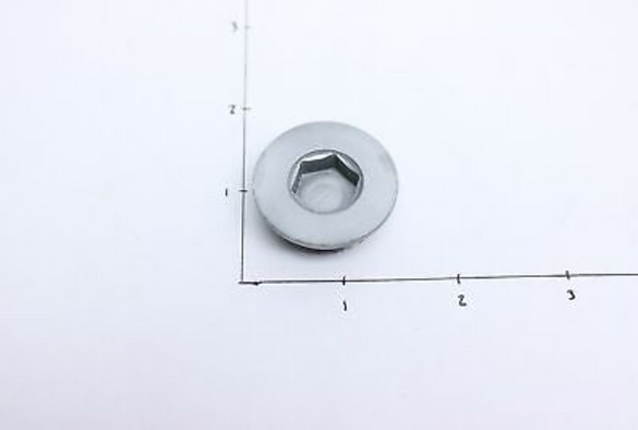 2000-2006 Polaris Trail Boss Magnum Sportsman 325 330 OEM Rocker Arm Bolt