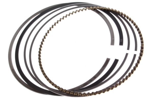 1995-2002 Honda Foreman TRX400 New OEM Piston Ring Set 13011-HM7-004