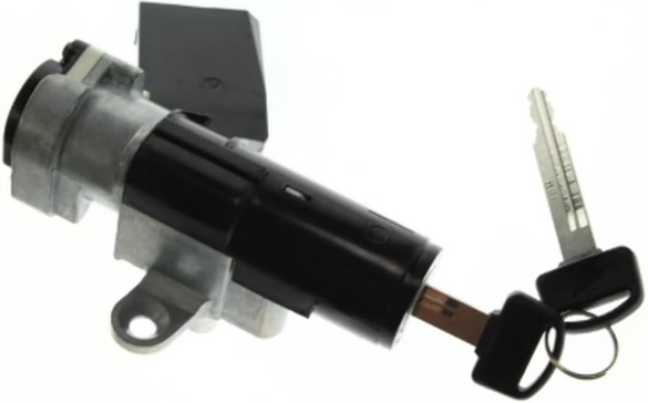 NEW 2008-2019 HONDA NPS50 RUCKUS OEM KEY SCREW SET 35014-GEZ-611