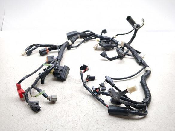17-23 Kawasaki BR125 Z125 Main Wiring Wire Harness Loom
